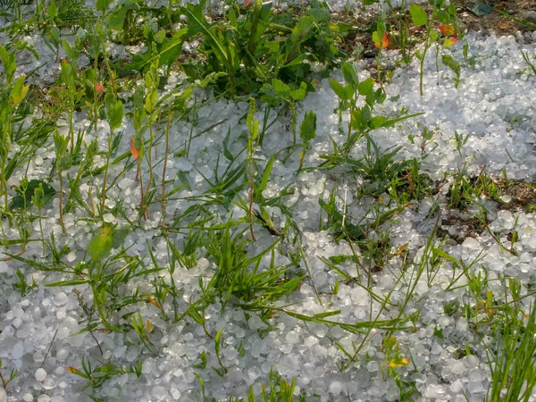 stock image Hail of ice balls on the green grass.