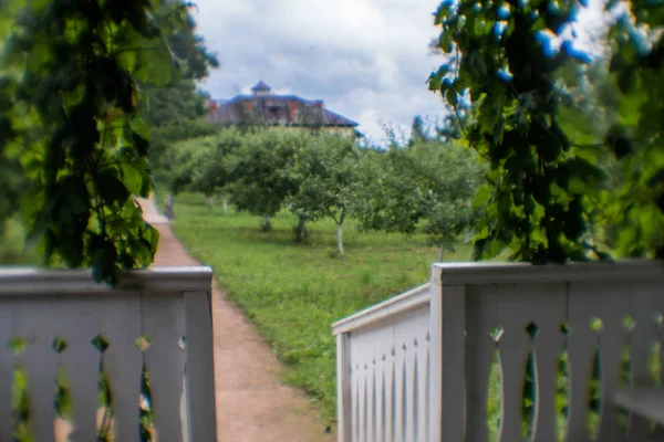 Sommarträdgård Med Trästaket — Stockfoto