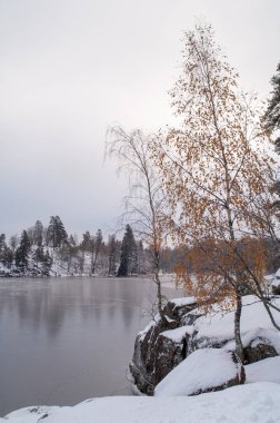 Monrepos Park. Vyborg. Finlandiya Körfezi kış manzara.
