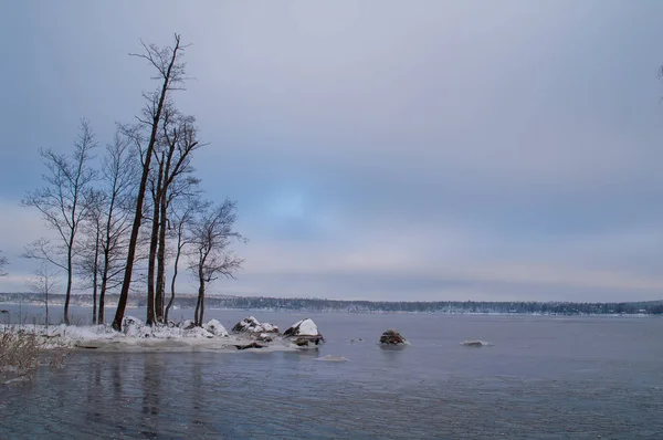 Parc Monrepos Vyborg Paysage Hivernal Golfe Finlande — Photo