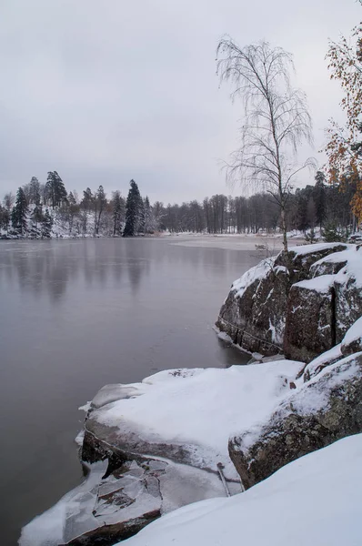 Parc Monrepos Vyborg Paysage Hivernal Golfe Finlande — Photo
