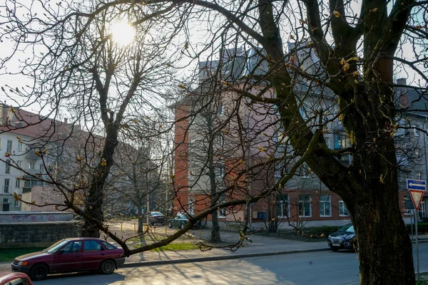 Kaliningrad Straat Van Kosmonaut Leonov 2019 — Stockfoto