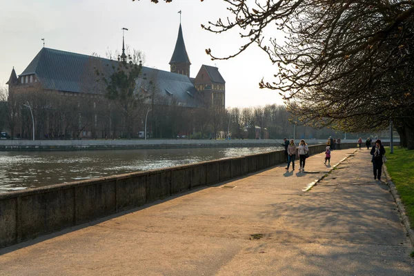 Damm Des Oberen Teiches Kaliningrad 2019 — Stockfoto