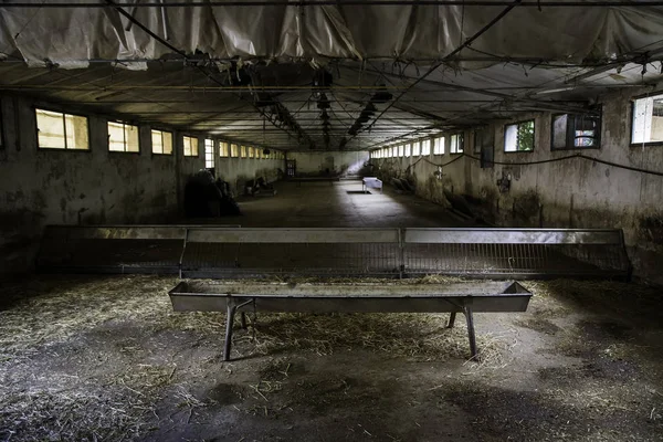 Eski Terk Edilmiş Çiftlik Harabe Yalnızlığın Ayrıntıları — Stok fotoğraf