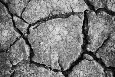 Kuru toprak ekolojik felaket, iklim değişikliğinin ayrıntıları, kuraklık ve ihmal.