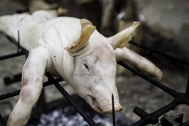 Izgara yavru domuz, pişmiş et, detayını vegan