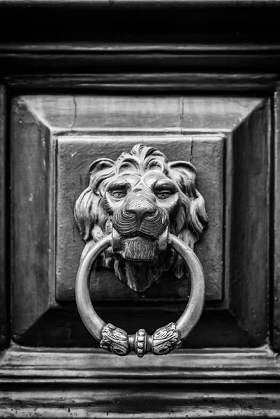 Chamador Forma Leão Dourado Detalhe Uma Antiga Porta Decorada Arte — Fotografia de Stock