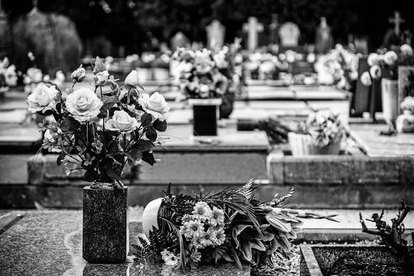 Blumen Auf Dem Friedhof — Stockfoto