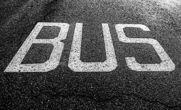 Bus signal on the asphalt, traffic signal detail of public transport