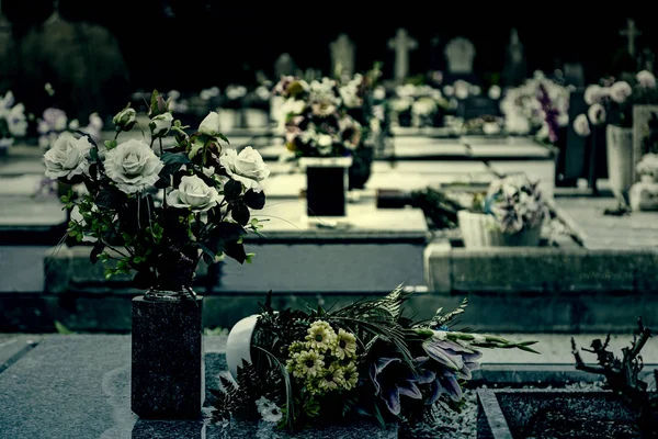 Fleurs Dans Cimetière — Photo