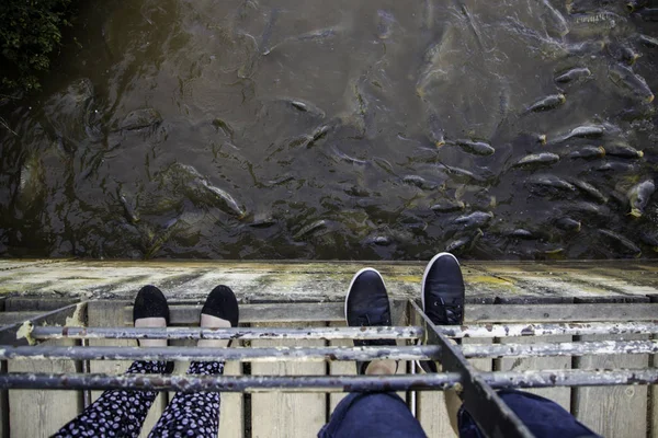 Viele Fische Essen Wilde Flussfische Angeln — Stockfoto