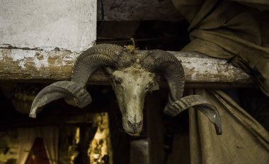 Yaşlı keçi kafatası, ayrıntı Cadılık ve şeytan