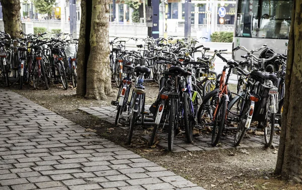 Типичные Велосипеды Припаркованы Голландии Транспортные Детали Городе Туризм Европе — стоковое фото