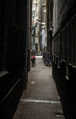 Amsterdam sokağı, Hollanda şehir sokağı, Avrupa turizmi