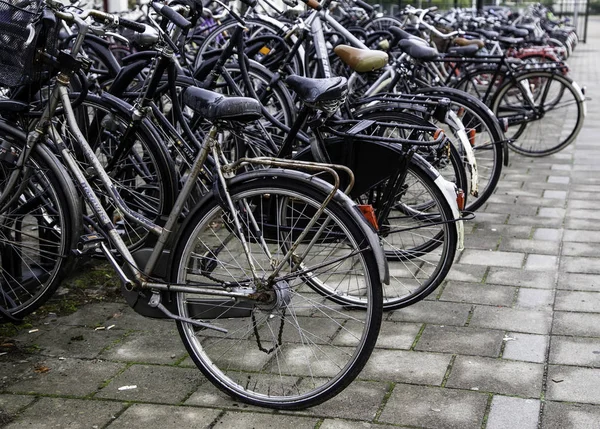Амстердам Нідерланди Вересня 2018 Захід Сонця Amsterdam Bicycle Стоянки Традиційні — стокове фото