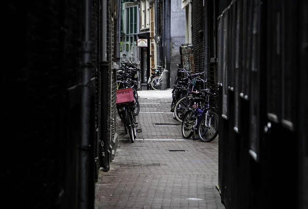Amsterdam Alley Dutch City Street Tourism Europe — Stock Photo, Image