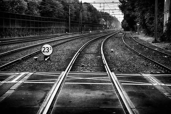 Chemins Fer Dans Une Gare Détail Transport Par Rail Voyage — Photo