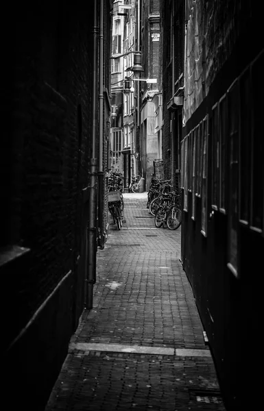 Amsterdam Steegje Nederlandse Stad Straat Toerisme Europa — Stockfoto