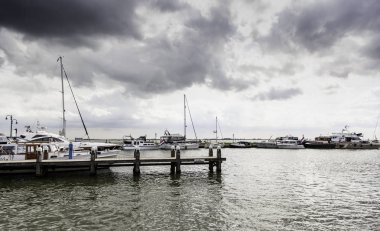 Hollanda Limanı, Hollanda 'daki balıkçılık limanı.