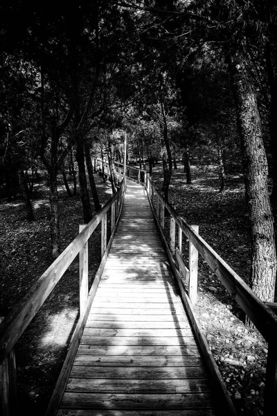 Wooden Walkway Forest Pass Nature People — Stock Photo, Image