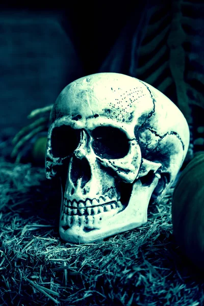 Calaveras Halloween Aterradoras Monstruosa Decoración Muerte —  Fotos de Stock