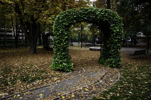 緑豊かな公園のベンチ 市内の自然詳細 — ストック写真