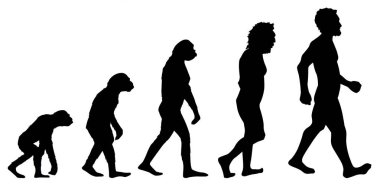 Graphic of human evolution, detail of the history of evolution, education clipart