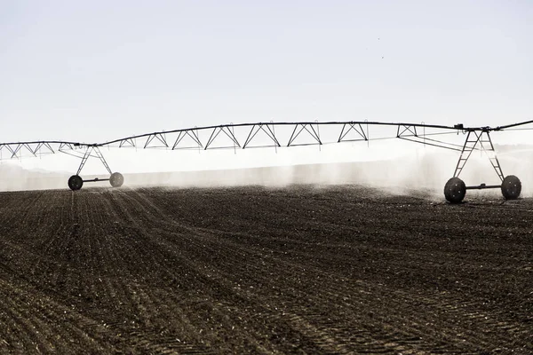 Automatic Irrigation System Cereal Field Detail Irrigation Water Agriculture Production — Stock Photo, Image