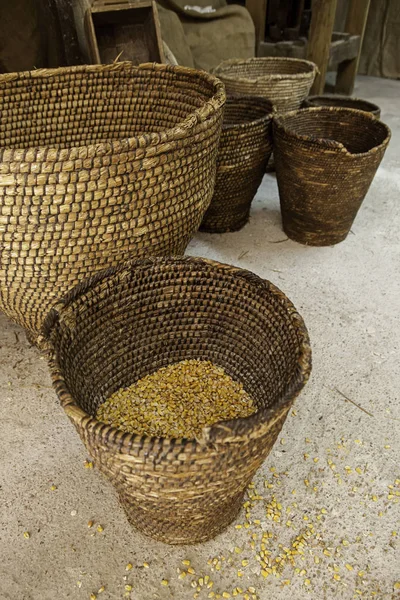 Dettaglio Mais Crudo Sacco Esparto Dettaglio Cereali Secchi — Foto Stock