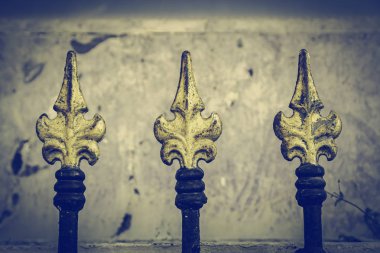 Altın boyanmış metal kapılar, boyanmış ve dekore edilmiş metal parmaklıklar, güvenlik ve güvenlik