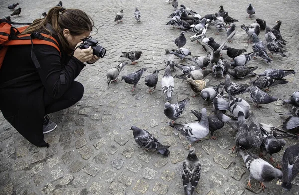 Alimentar Las Palomas Detalle Una Mujer Fotografiando Los Pájaros —  Fotos de Stock