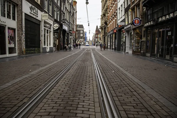 Трамваи на улице Амстердама — стоковое фото