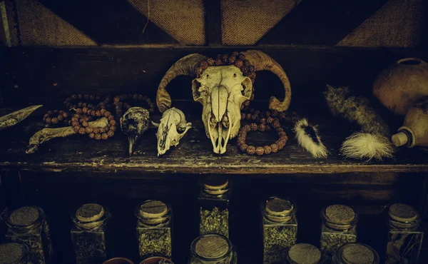 Crânios de cabra para decoração aterrorizante — Fotografia de Stock