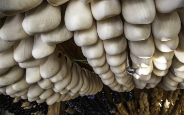 Hollandalı tahta takunya