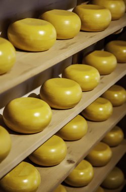 Hollandalı esnaf peynirleri