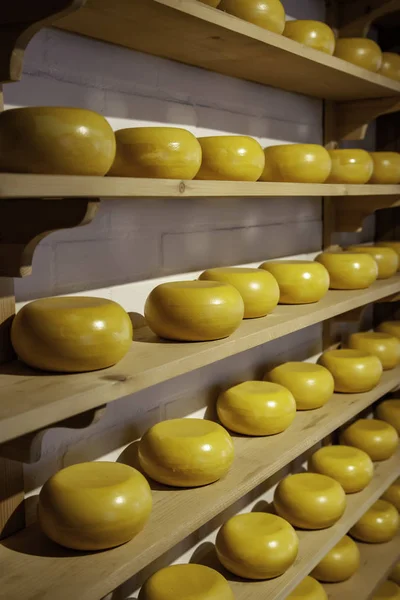 Dutch artisan cheeses