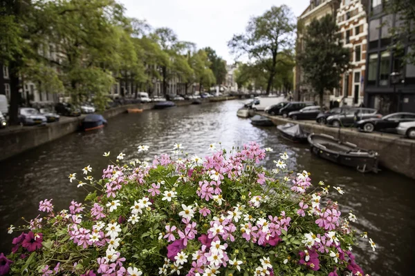 Kanal Amsterdam — Stok Foto