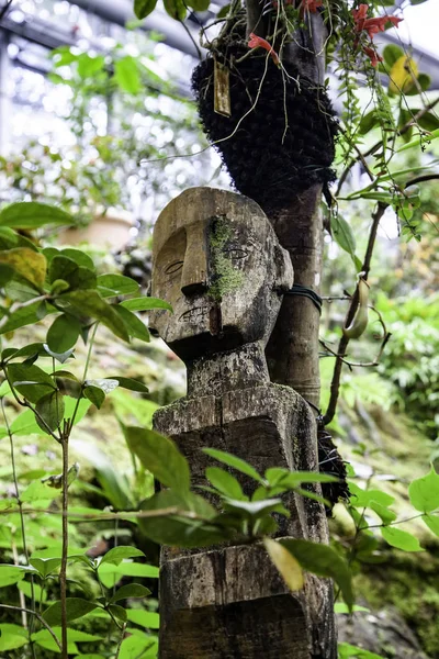 Planta carnívora en la selva —  Fotos de Stock