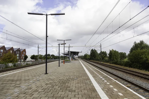 Järnvägsstationen Amsterdam — Stockfoto
