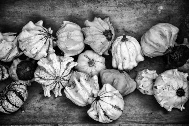 Küçük cadılar bayramı kabakları