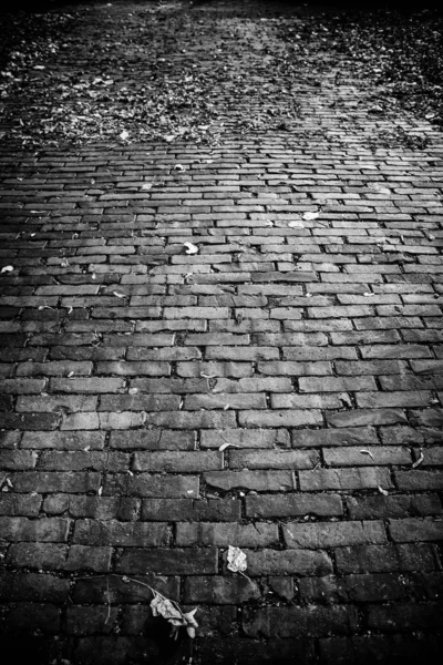 Wet cobbled floor — Stock Photo, Image