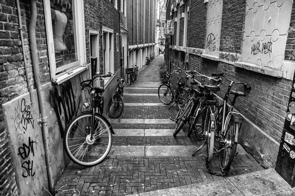 Fietsen in amsterdam — Stockfoto