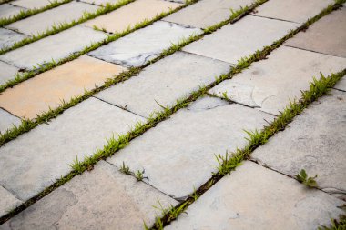 Otlu kaldırım taşları, bitki örtülü yaya geçidi detayları.