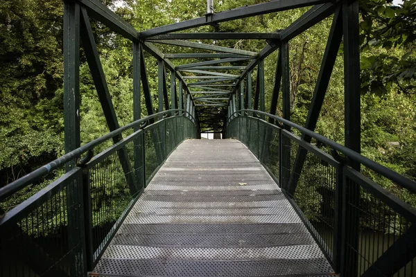 Pasarela Metálica Bosque Detalle Acceso Peatonal Naturaleza — Foto de Stock