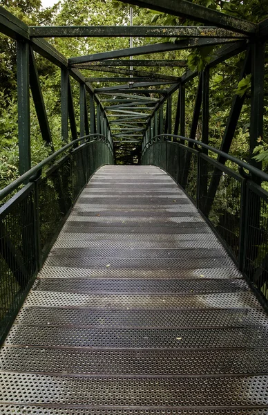 Pasarela Metálica Bosque Detalle Acceso Peatonal Naturaleza — Foto de Stock