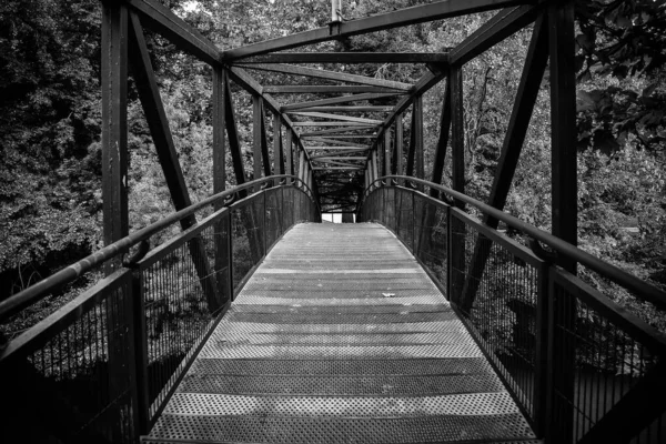 Metal Walkway Forest Detail Pedestrian Access Nature — Stock Photo, Image