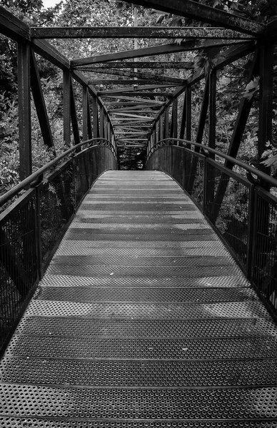 Metal Walkway Forest Detail Pedestrian Access Nature — Stock Photo, Image