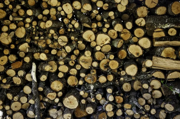 Древесина Рубленая Детали Традиционного Отопления Зимняя Жара — стоковое фото