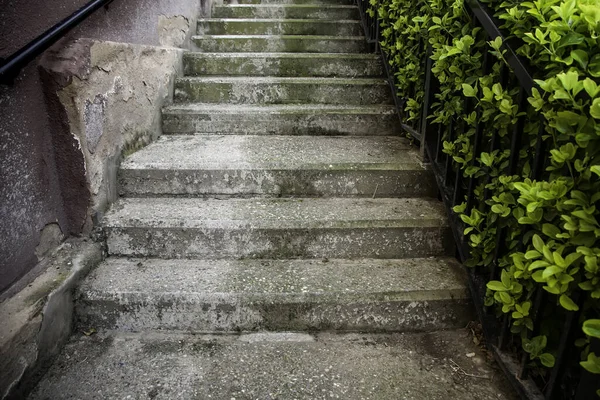 Old Cement Stairs Architecture Detail Pedestrian Access — Stock Photo, Image