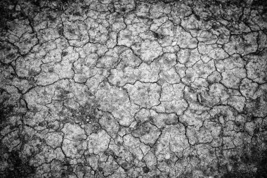 İklim değişikliğinin ayrıntıları, yıkım ve ısı, çevre tahribatı